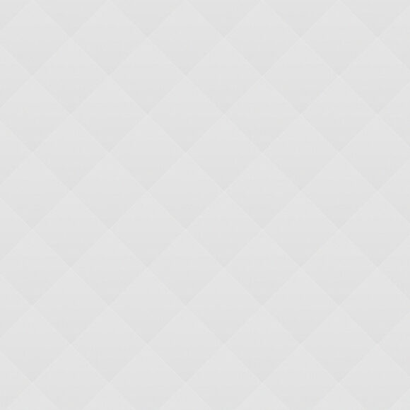 02 The American Bought Renoir’s Canvas